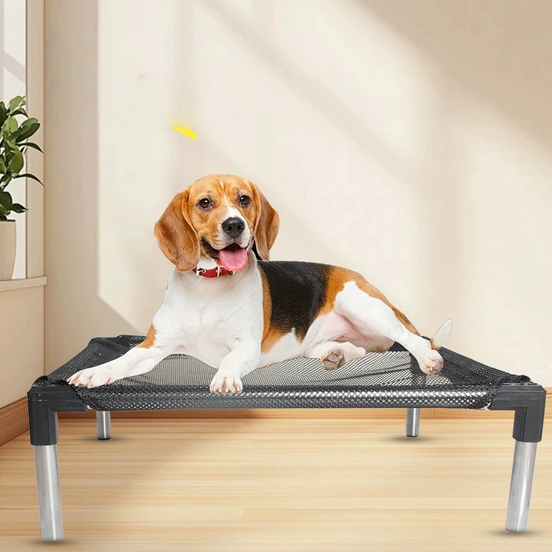 Cooling Elevated Dog Bed - Rai - Outdoor Daybed Sofa review and price